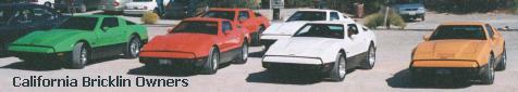 California Bricklin Owners